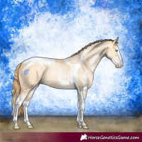 Horse Color:White Spotted Gold Champagne Pearl Dun Splash Tobiano 