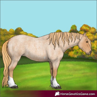 Horse Color:Red Roan Tobiano 