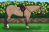 Horse Color:Brown Dun Tobiano Rabicano