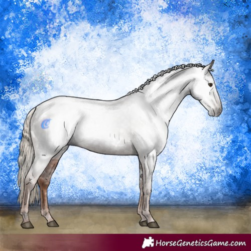 Horse Color:Gray White Spotted Chestnut Varnish