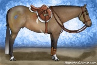Horse Color:Buckskin Tobiano