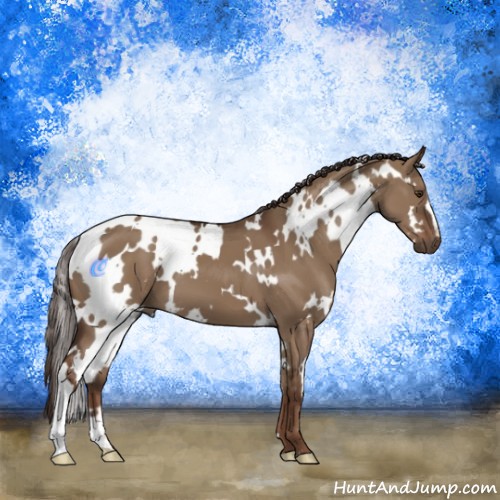 Horse Color:White Spotted Liver Red Dun 