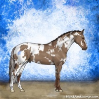 Horse Color:White Spotted Liver Red Dun 