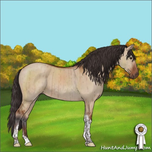 Horse Color:Brown Dun Sabino Tobiano Appaloosa Brindle 