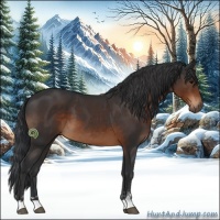 Horse Color:Brown Sabino