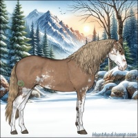 Horse Color:Liver Red Dun Sabino Rabicano 