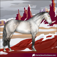 Horse Color:Gray Brown Dun Sabino 