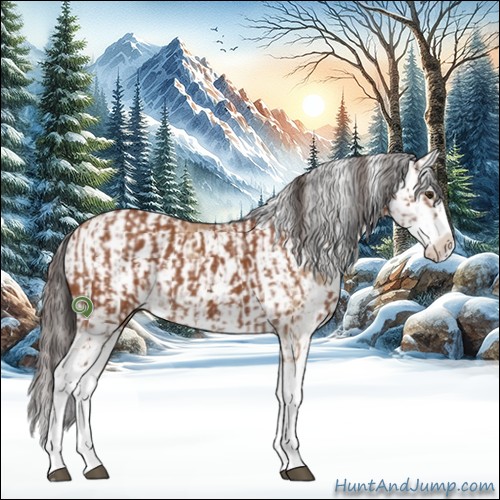 Horse Color:Bay Sabino and Amber Champagne Sabino