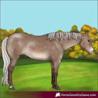 Horse Color:Silver Brown Dun Sabino 