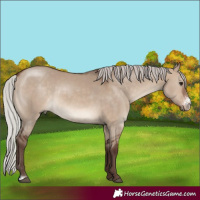 Horse Color:Silver Brown Dun Sabino 