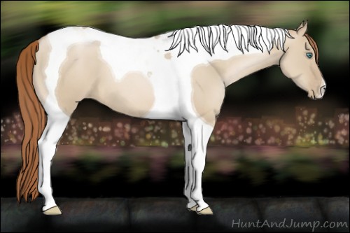 Horse Color:Smoky Grullo Pearl Tobiano
