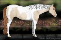 Horse Color:Smoky Grullo Pearl Tobiano 