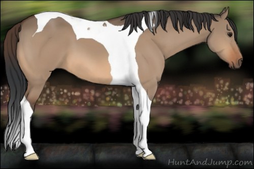Horse Color:Bay Dun Tobiano 
