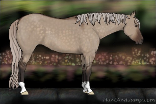 Horse Color:Silver Brown Dun 