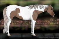 Horse Color:Silver Brown Dun Tobiano