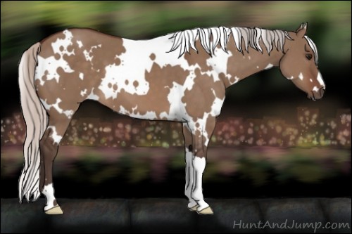 Horse Color:White Spotted Silver Brown Dun 