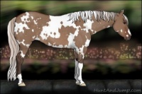 Horse Color:White Spotted Silver Brown Dun