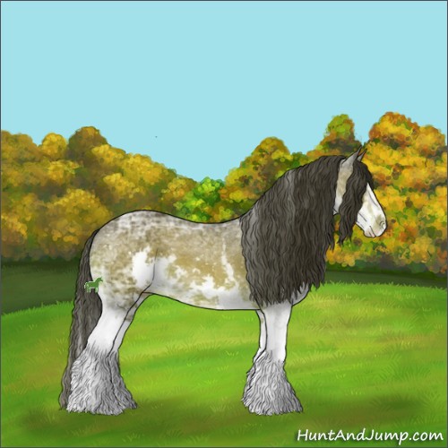 Horse Color:White Spotted Bay Ice Sabino Splash Appaloosa 