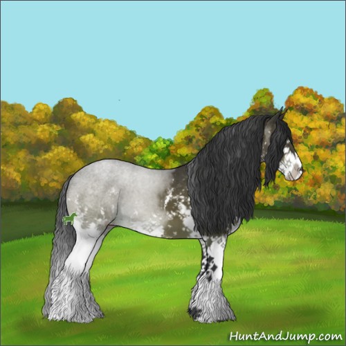Horse Color:White Spotted Brown Sabino Splash
