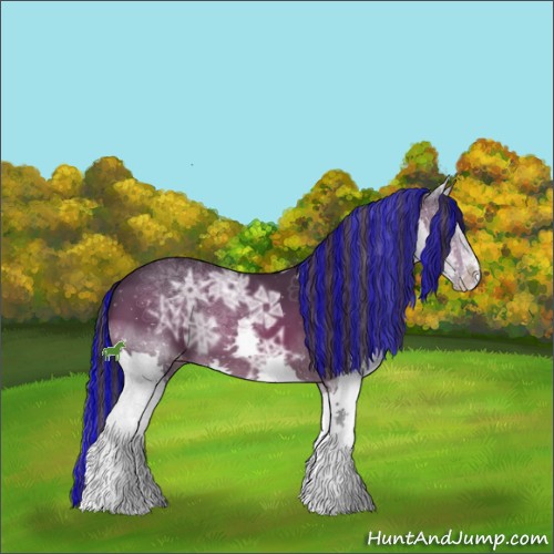 Horse Color:Painted White Spotted Brown Ice Splash Appaloosa 