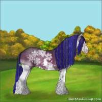 Horse Color:Painted White Spotted Brown Ice Splash Appaloosa 