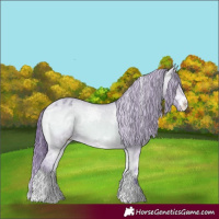 Horse Color:Watercolor White Spotted Brown Ice Onyx Varnish 