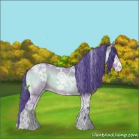 Horse Color:Watercolor White Spotted Brown Ice Onyx Appaloosa