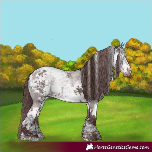 Horse Color:Chocolate Brown Roan Sabino Appaloosa and White Spotted Liver Chestnut Ice Sabino