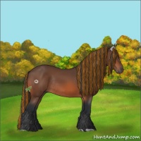 Horse Color:Painted Bay Rabicano 