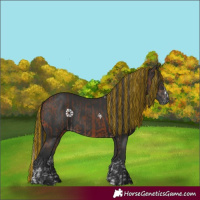 Horse Color:Painted Bay Splash Rabicano and Painted Black Rabicano