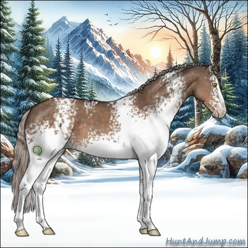 Horse Color:White Spotted Silver Brown Dun Sabino 