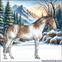 Horse Color:White Spotted Silver Brown Dun Sabino
