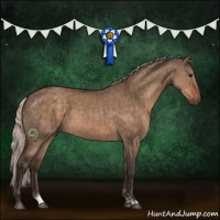 Horse Color:Silver Brown Dun Sabino Brindle 