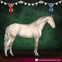 Horse Color:Silver Buckskin Roan Pearl Dun Sabino Brindle