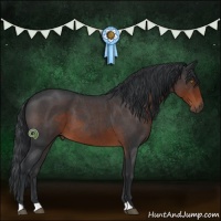 Horse Color:Brown Roan