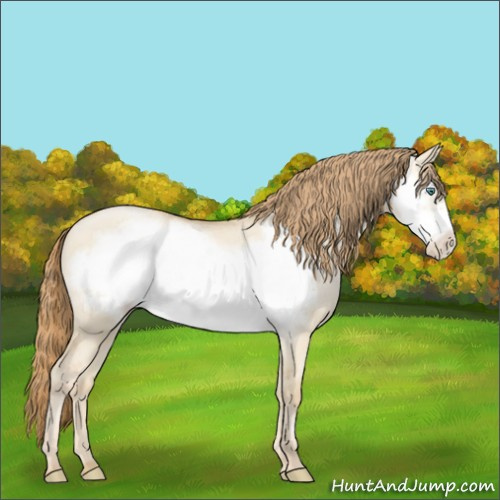 Horse Color:Smoky Grullo Pearl Frame