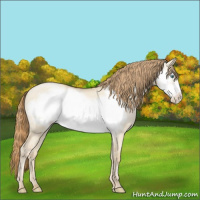 Horse Color:Smoky Grullo Pearl Frame 