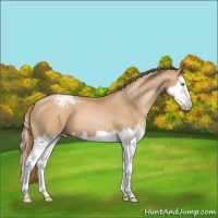 Horse Color:Chestnut Pearl Splash Varnish 