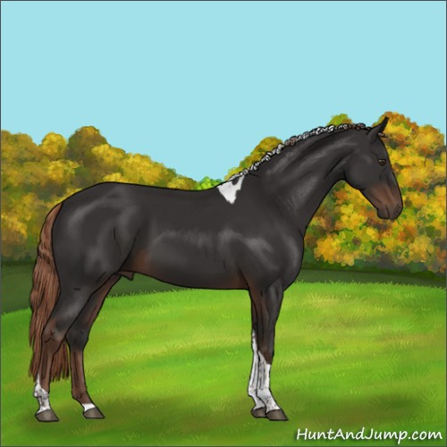 Horse Color:Liver Chestnut Tobiano 