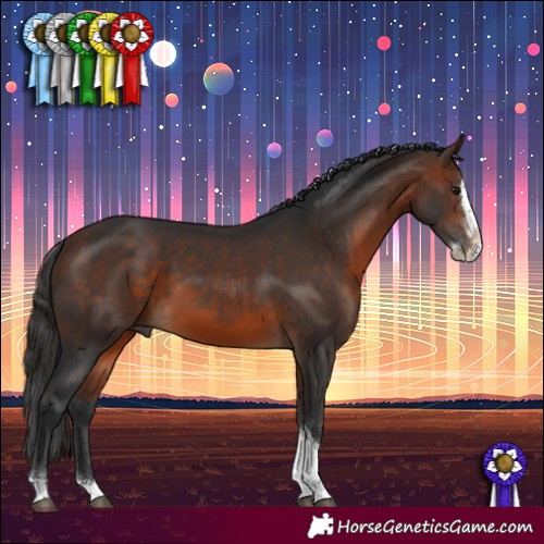 Horse Color:Brown Splash Tobiano