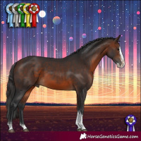 Horse Color:Brown Splash Tobiano