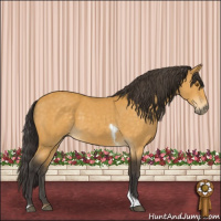 Horse Color:Buckskin Tobiano