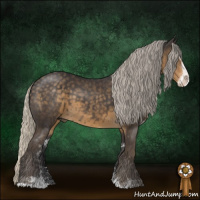 Horse Color:Silver Smoky Black Sabino 