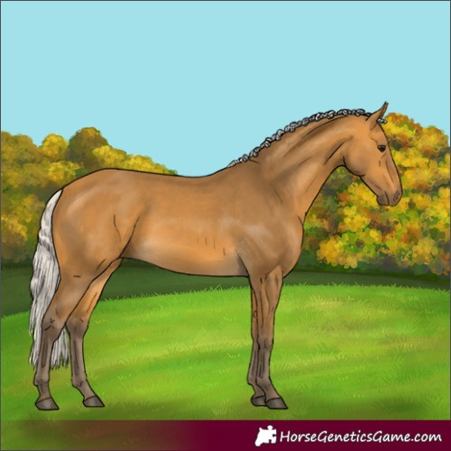 Horse Color:Silver Buckskin 
