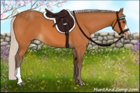 Horse Color:Silver Buckskin 