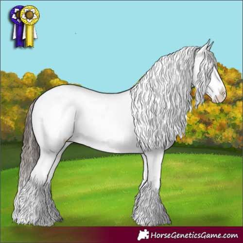 Horse Color:White Spotted Liver Chestnut Appaloosa 