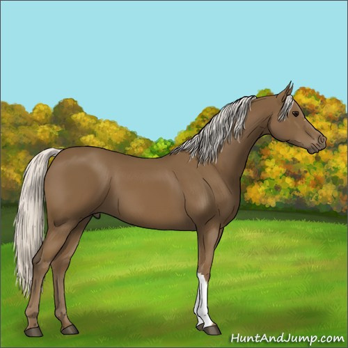 Horse Color:Silver Smoky Black 