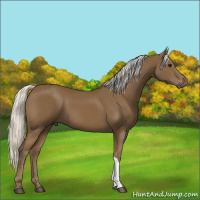 Horse Color:Silver Smoky Black 