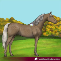 Horse Color:Silver Smoky Black 