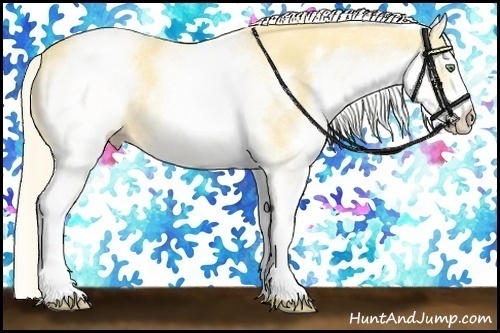 Horse Color:White Spotted Gold Cream Champagne 